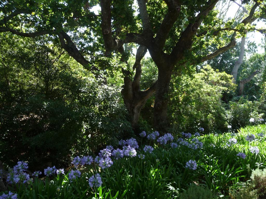 Klein Waterval Riverside Lodge Franschhoek Bagian luar foto